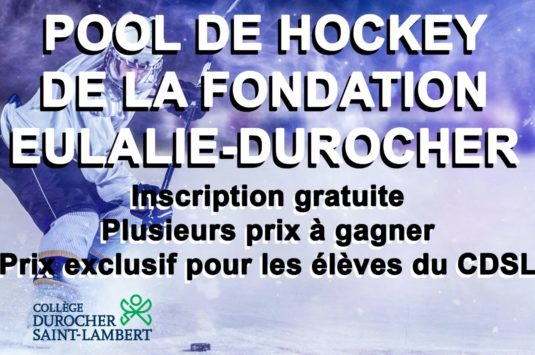 Le pool de hockey de la Fondation